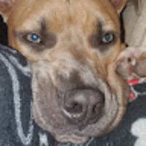 Meet your Posher, Jill